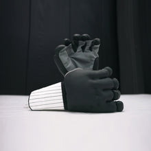 Load image into Gallery viewer, Kenpo Gloves